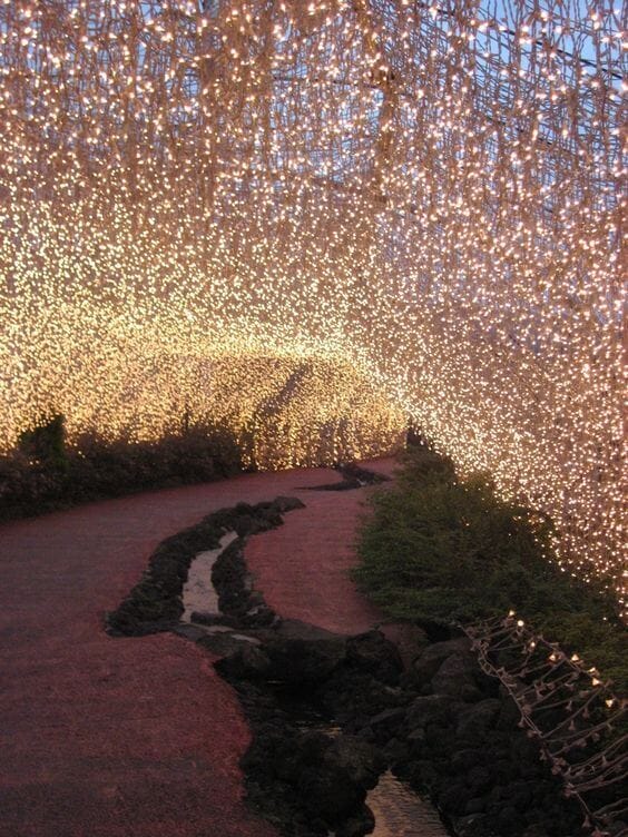An outdoor dusk garden featuring a curving pathway under a canopy of warm-white fairy lights, creating an enchanted night wedding tunnel.
