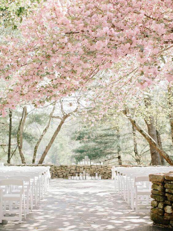 37 Morning Wedding Ideas filled with Sunshine color pallets 37 Blush-pink cherry blossoms canopy a serene wedding aisle flanked by white folding chairs, leading to a rustic stone altar with candle clusters.